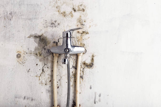 Best Mold Testing  in Ixonia, WI