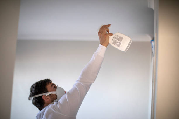 Office Mold Removal Services in Ixonia, WI
