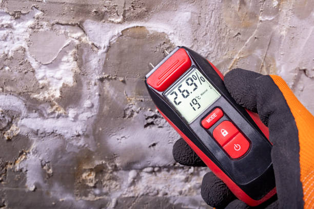 Best Local Mold Removal Service  in Ixonia, WI