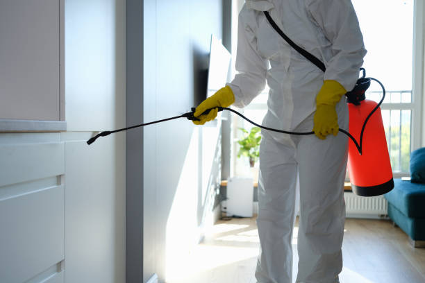 Best Office Mold Removal Services  in Ixonia, WI