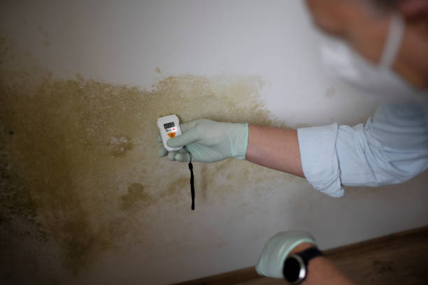 Best Mold Testing  in Ixonia, WI