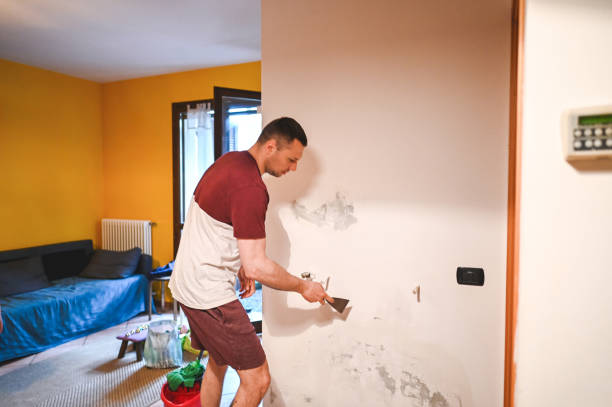Best Certified Mold Removal  in Ixonia, WI